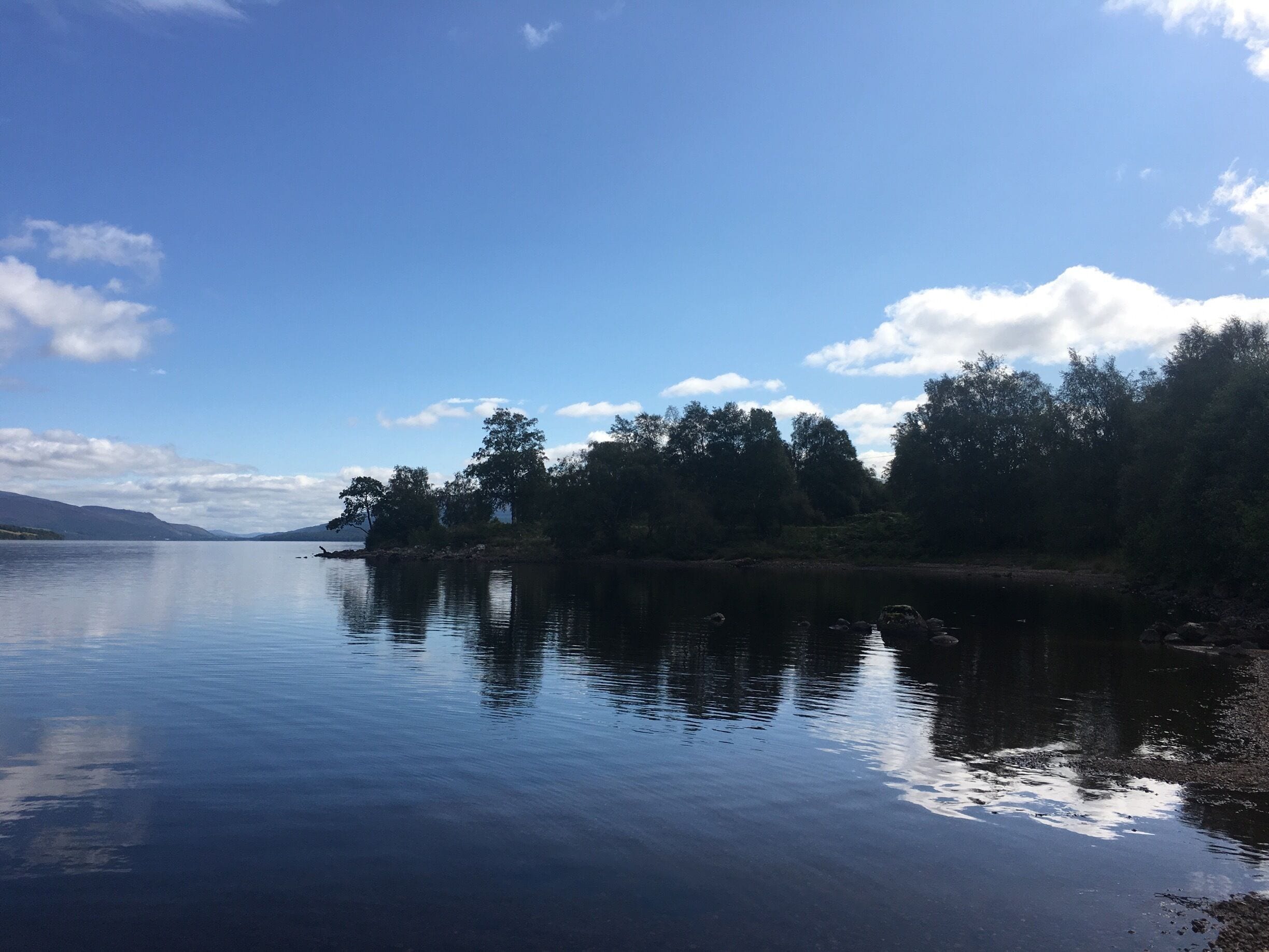 A calm lake with a clear sky, surrounded by trees and distant mountains.