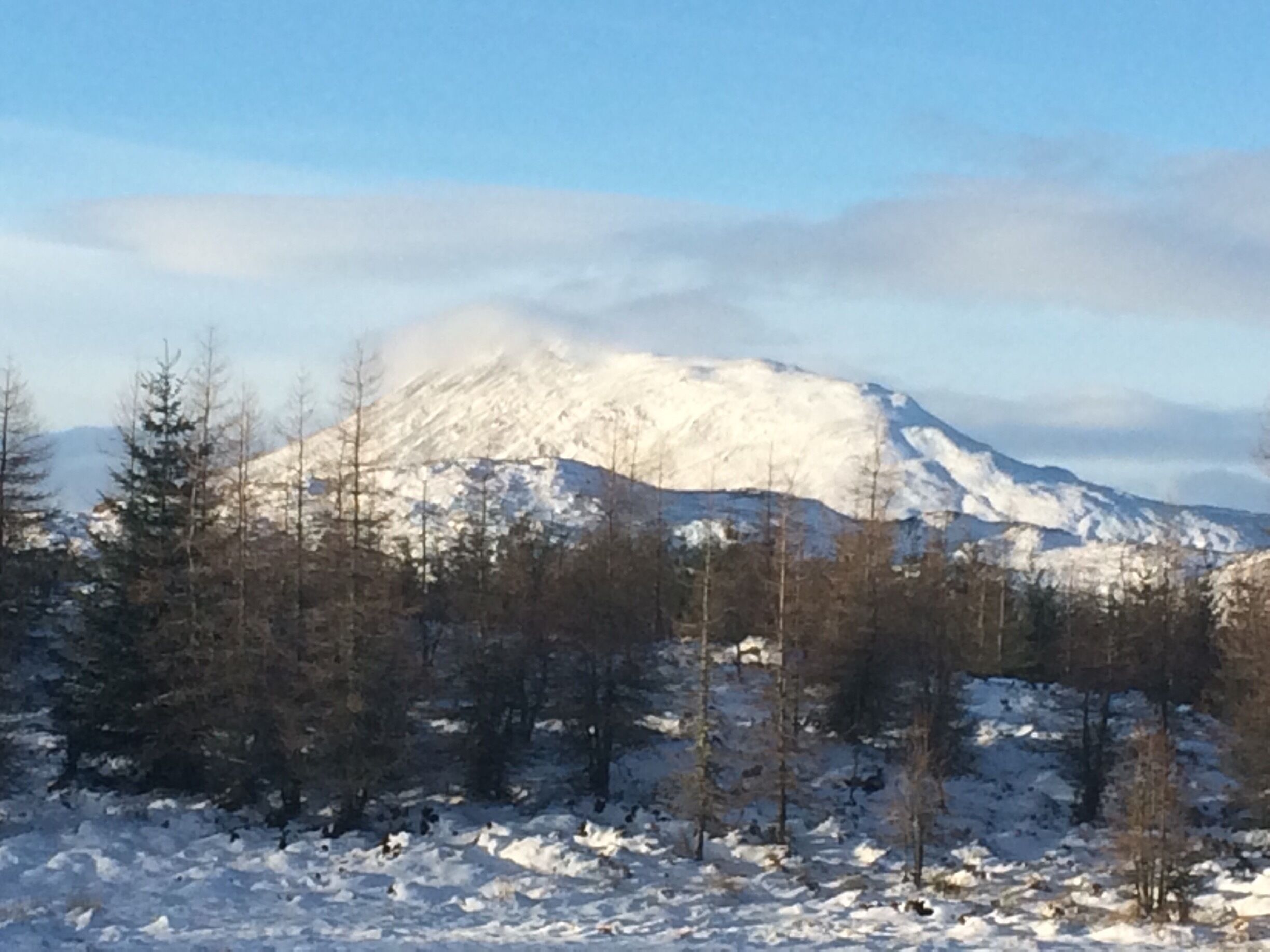 View of schiehallion from the highland safari