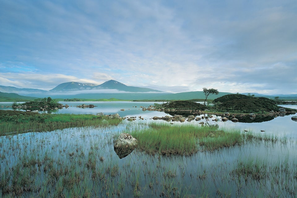 A calm lake with surrounding grasslands and a mountain in the distance.