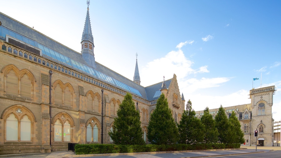 McManus Galleries and Museum som omfatter kulturarvsgenstande og gadeliv