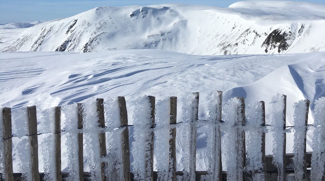 Beautiful view from the top of Cairnwell T-Bar at Glenshee Ski Center.
Rare fresh snow, glorious sunshine and low wind made for an outstanding morning on the mountain with good friends. The eagle eye will spot wild deer, Ptarmigan, Hare and other hardy mountain beasties. #merch #LifeAtExpedia