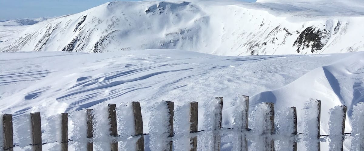 Beautiful view from the top of Cairnwell T-Bar at Glenshee Ski Center.
Rare fresh snow, glorious sunshine and low wind made for an outstanding morning on the mountain with good friends. The eagle eye will spot wild deer, Ptarmigan, Hare and other hardy mountain beasties. #merch #LifeAtExpedia