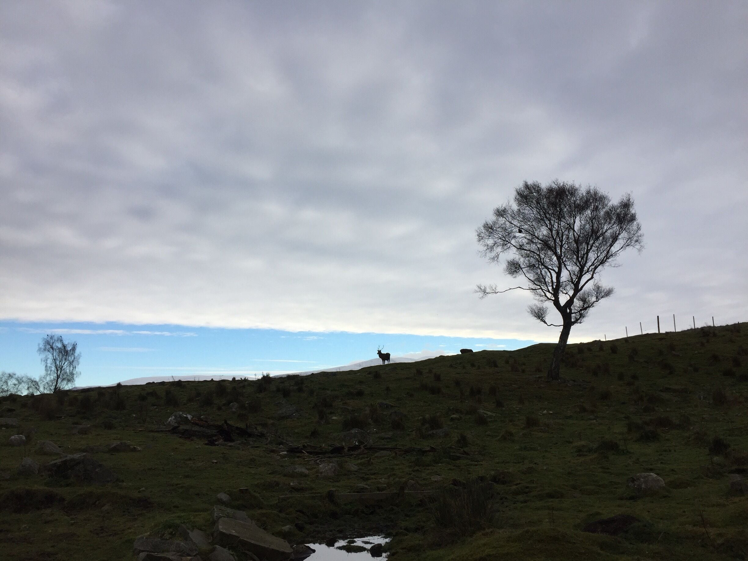 Amazing reserve with driving and walking areas. #lifeatexpedia