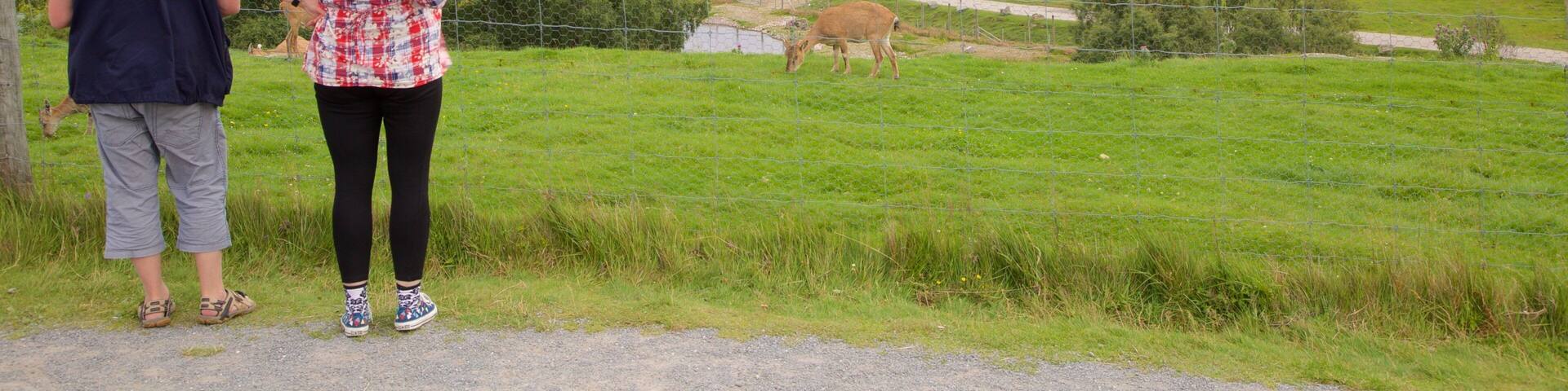 Highland Wildlife Park which includes zoo animals as well as a small group of people