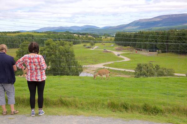 Highland Wildlife Park which includes zoo animals as well as a small group of people
