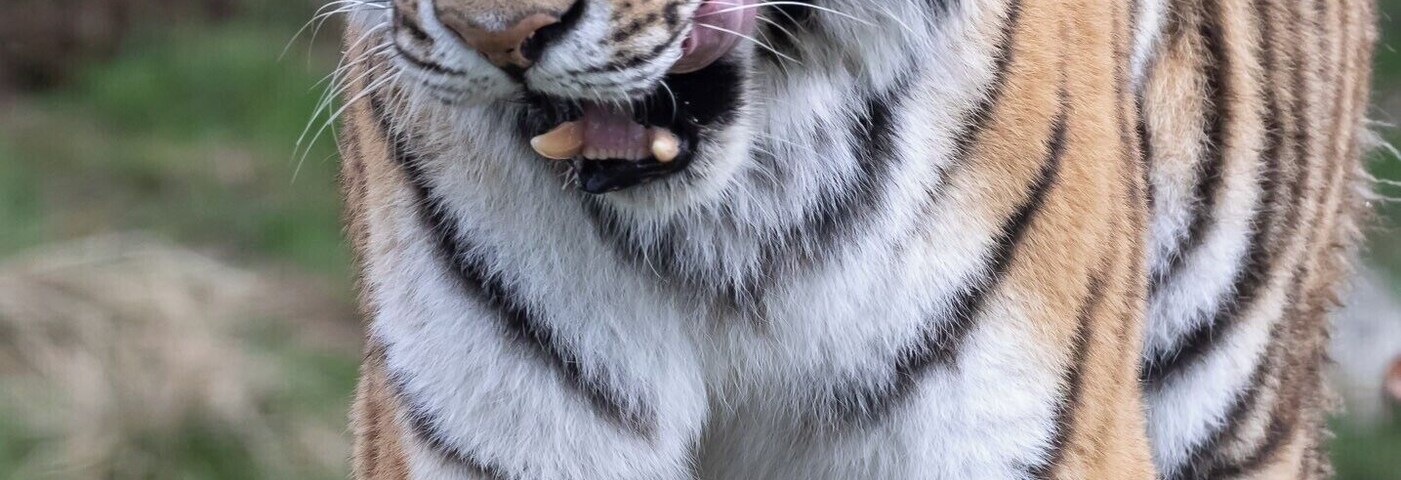 reminded me to visit the dentist