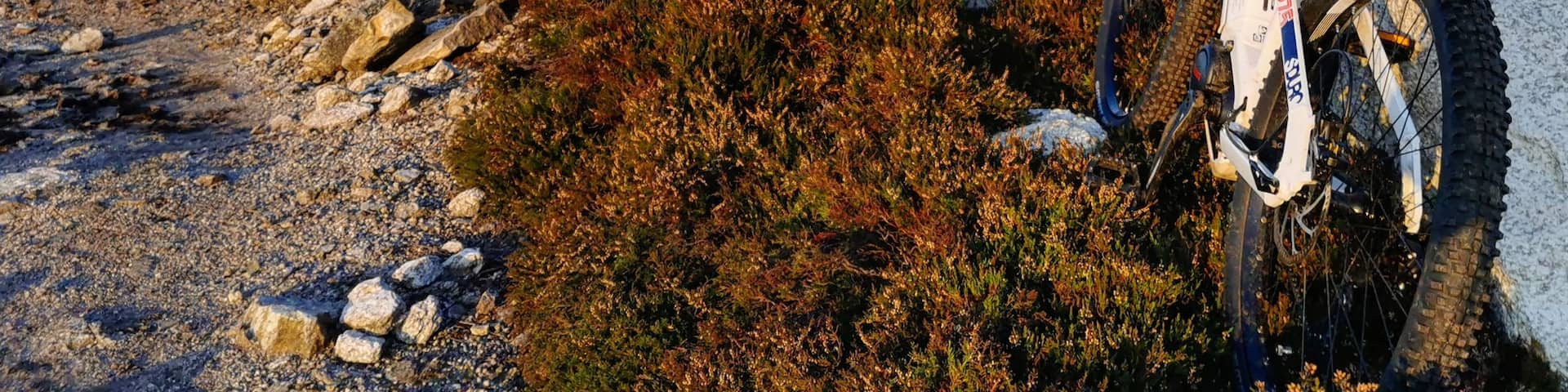 📍Ben Rinnes, by Aberlour
I can see the summit of Ben Rinnes from near my house, but I had to drive 1 hour to reach the car park to start my cycle to the summit.