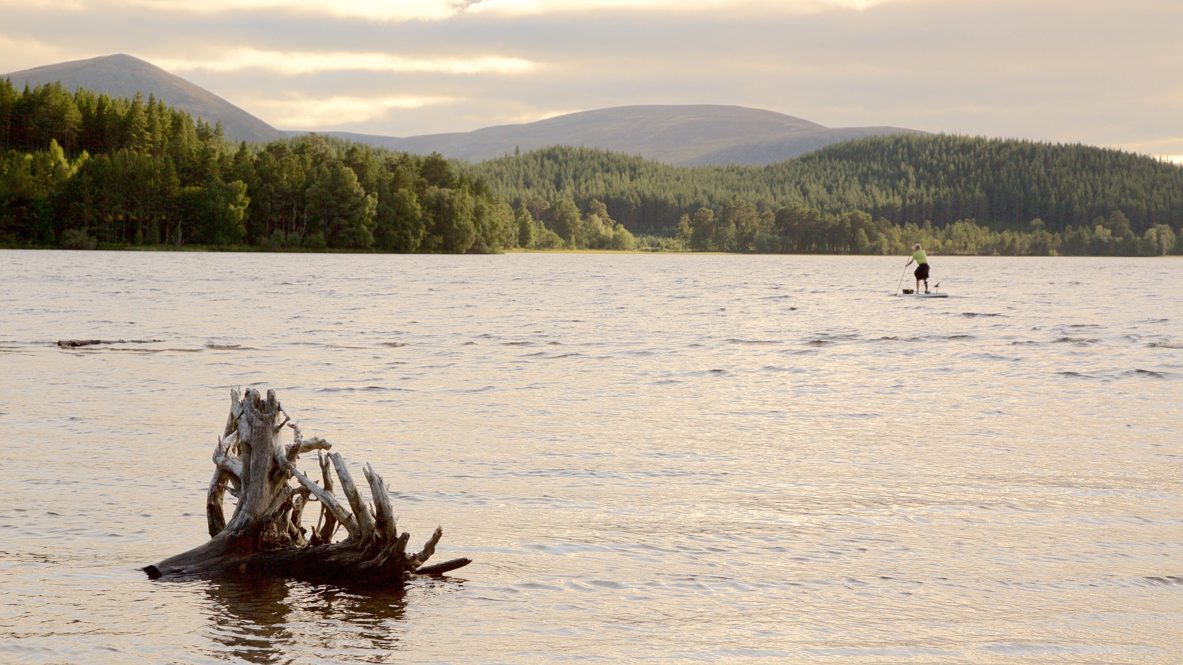 Loch Morlich featuring a lake or waterhole