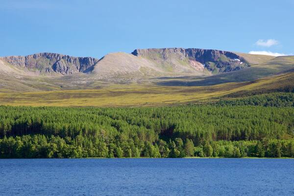 Loch Morlich mostrando bosques, un río o arroyo y montañas