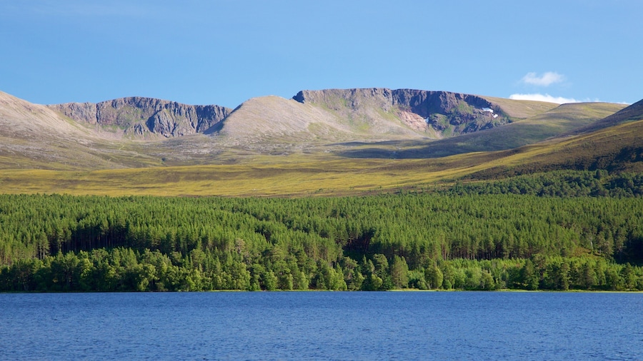 Loch Morlich som viser en flod eller et vandløb, skove og bjerge