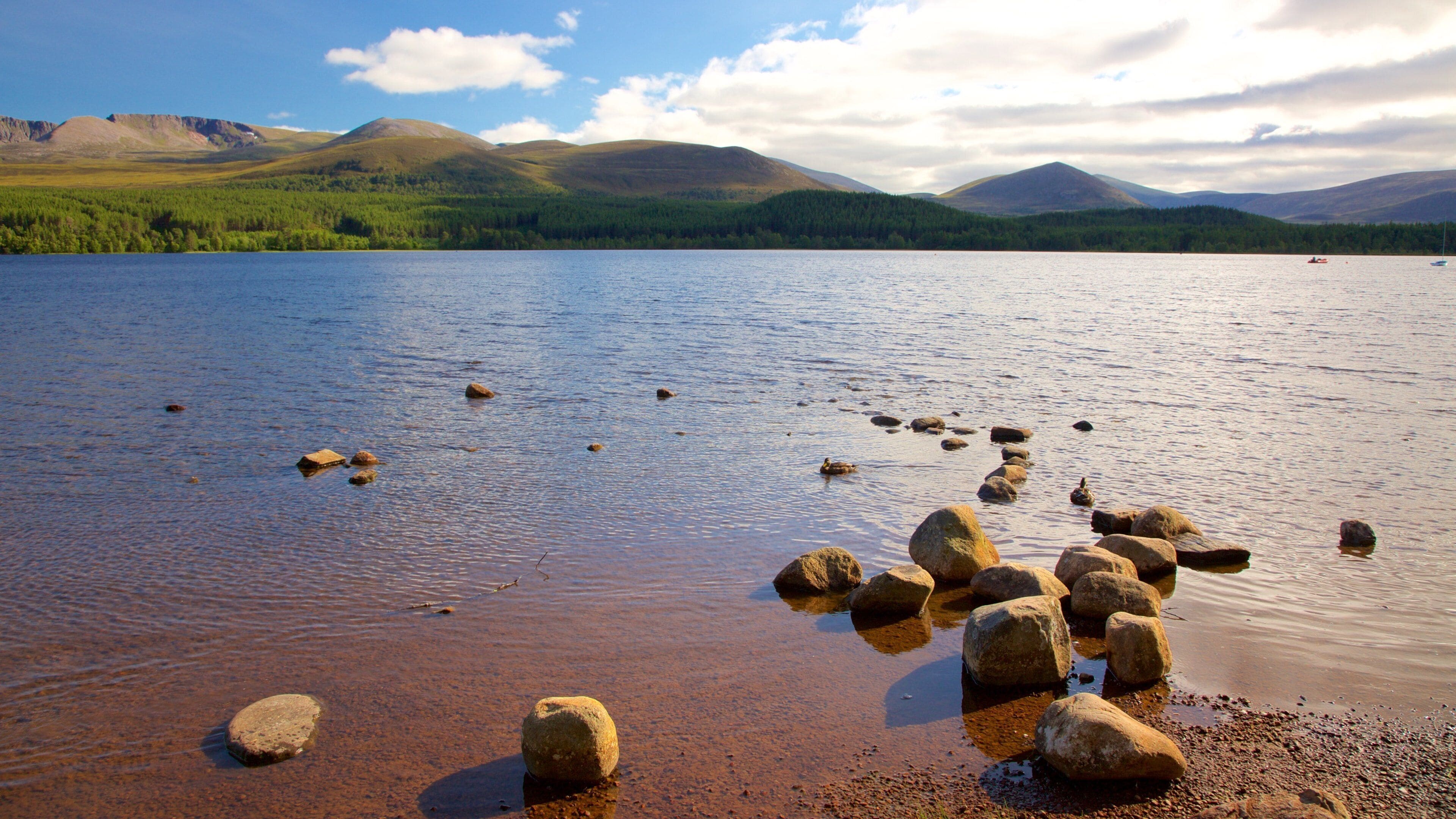 Loch Morlich inclusief een kiezelstrand en een rivier of beek