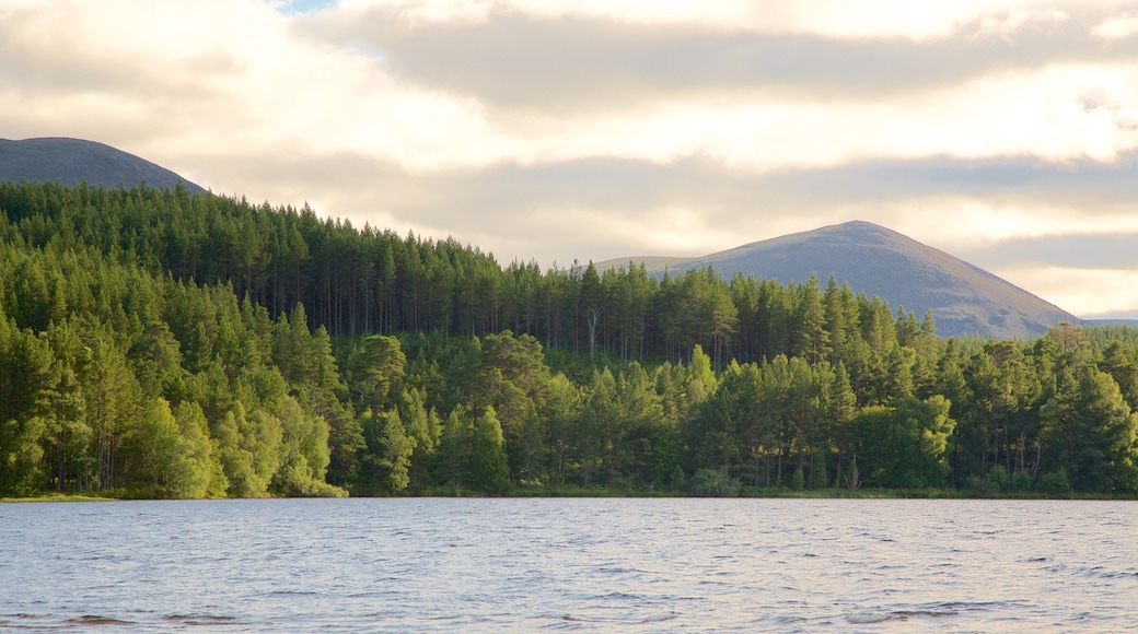 Loch Morlich featuring a lake or waterhole and forest scenes
