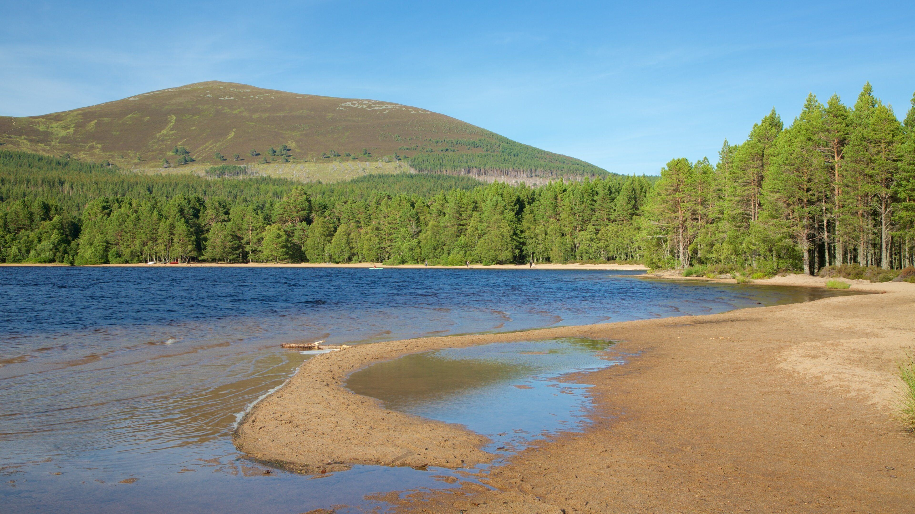 Loch Morlich que incluye bosques y un lago o abrevadero