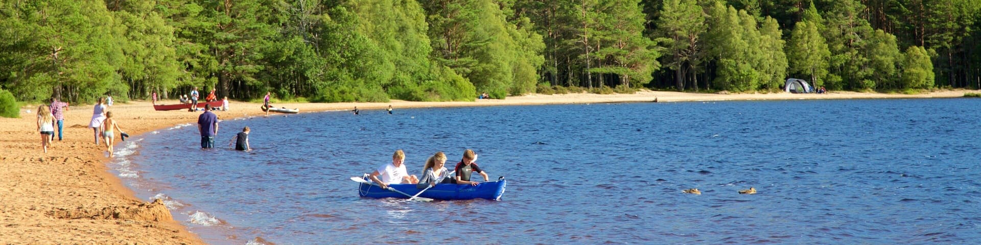 Loch Morlich mostrando bosques, una playa de arena y montañas