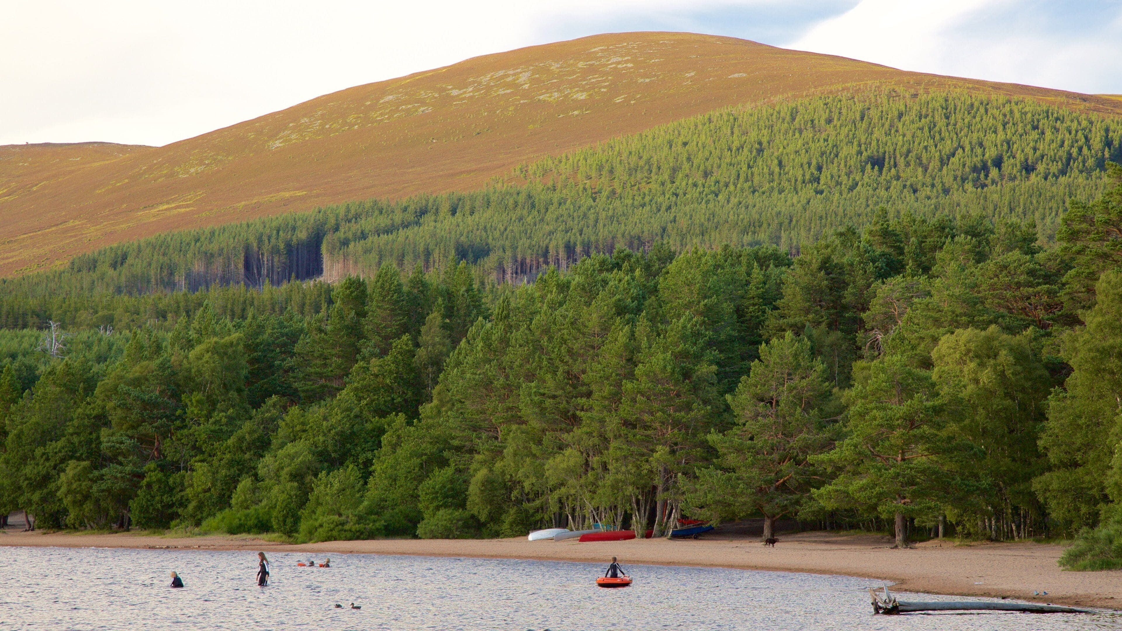 Loch Morlich das einen Waldmotive und See oder Wasserstelle