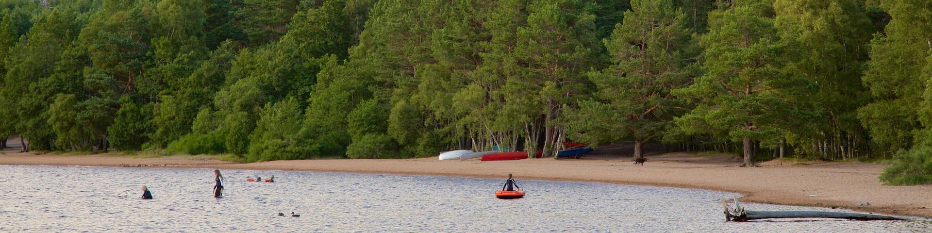 Loch Morlich qui includes un lac ou un point dâeau et forĂȘts