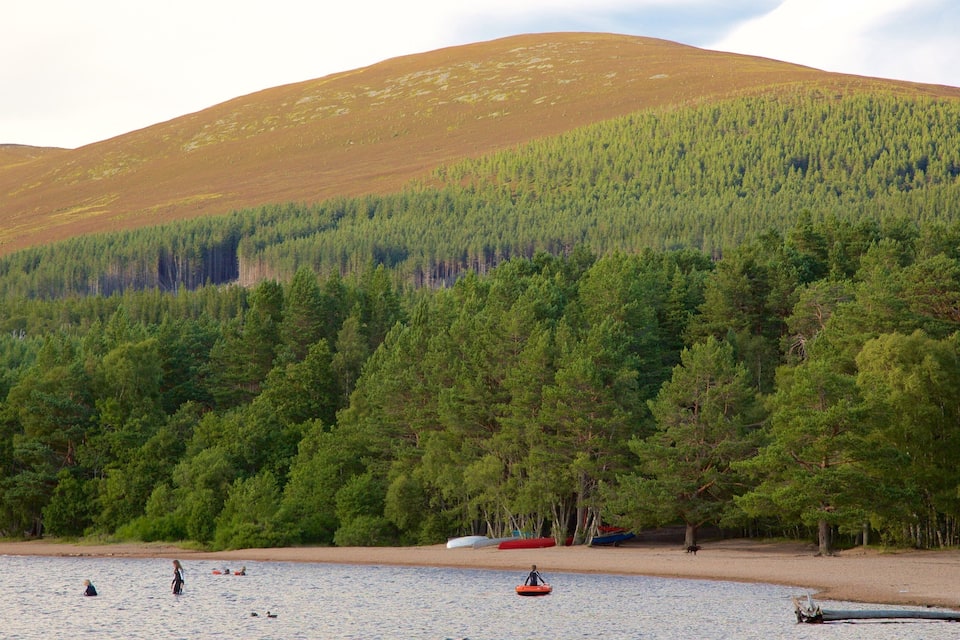 A lake surrounded by dense forest and a hill in the background.