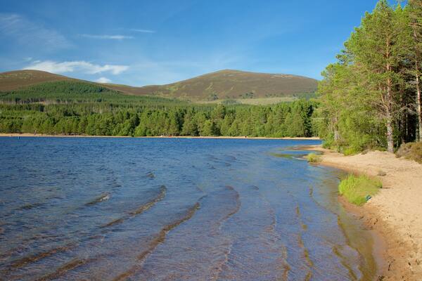 Loch Morlich mettant en vedette lac ou étang