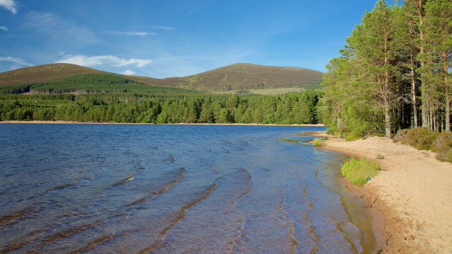 Loch Morlich which includes a lake or waterhole