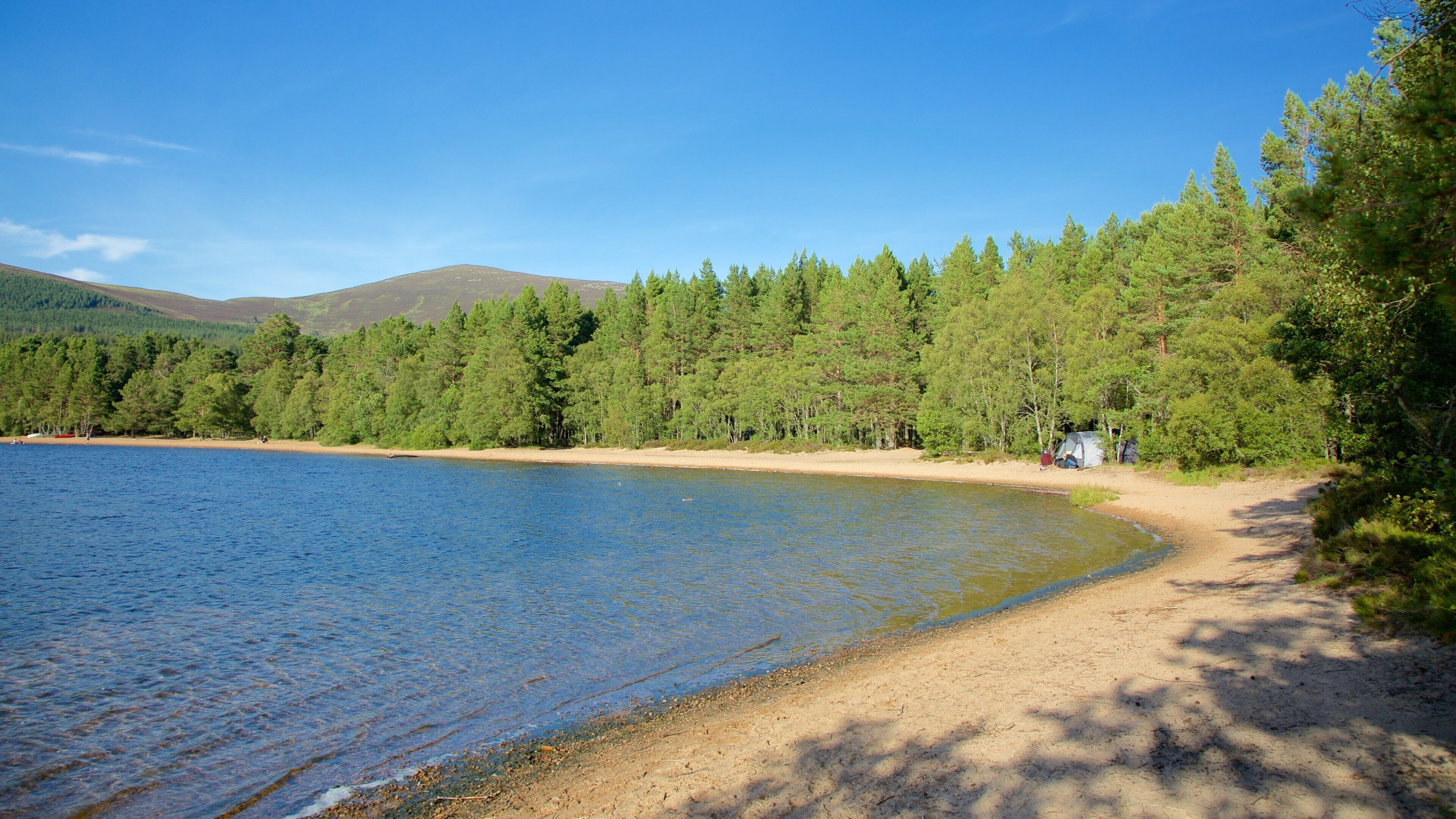 A lake with a sandy beach and a forested area with a tent.