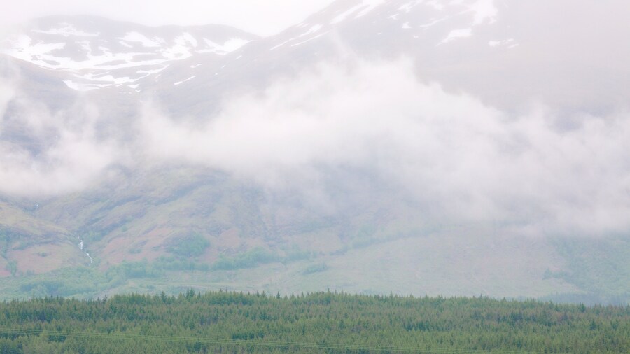 Ben Nevis showing mist or fog, tranquil scenes and mountains