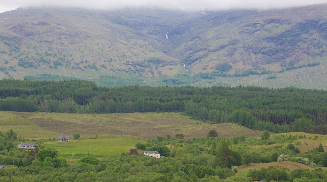 Ben Nevis toont bos, vredige uitzichten en bergen