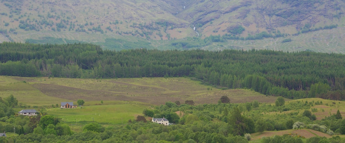 Ben Nevis showing mountains, forest scenes and tranquil scenes