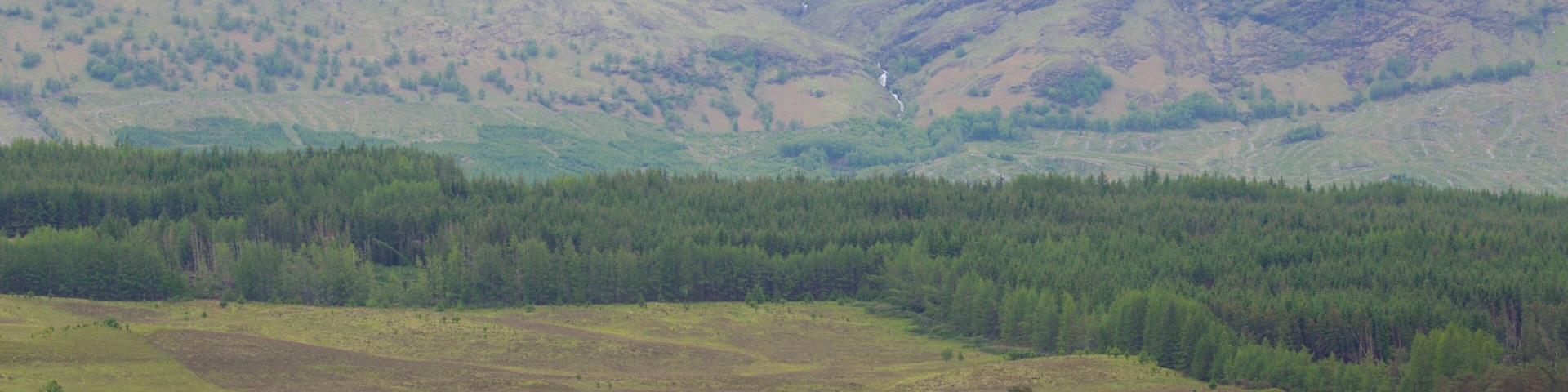 Ben Nevis which includes mountains, forest scenes and tranquil scenes