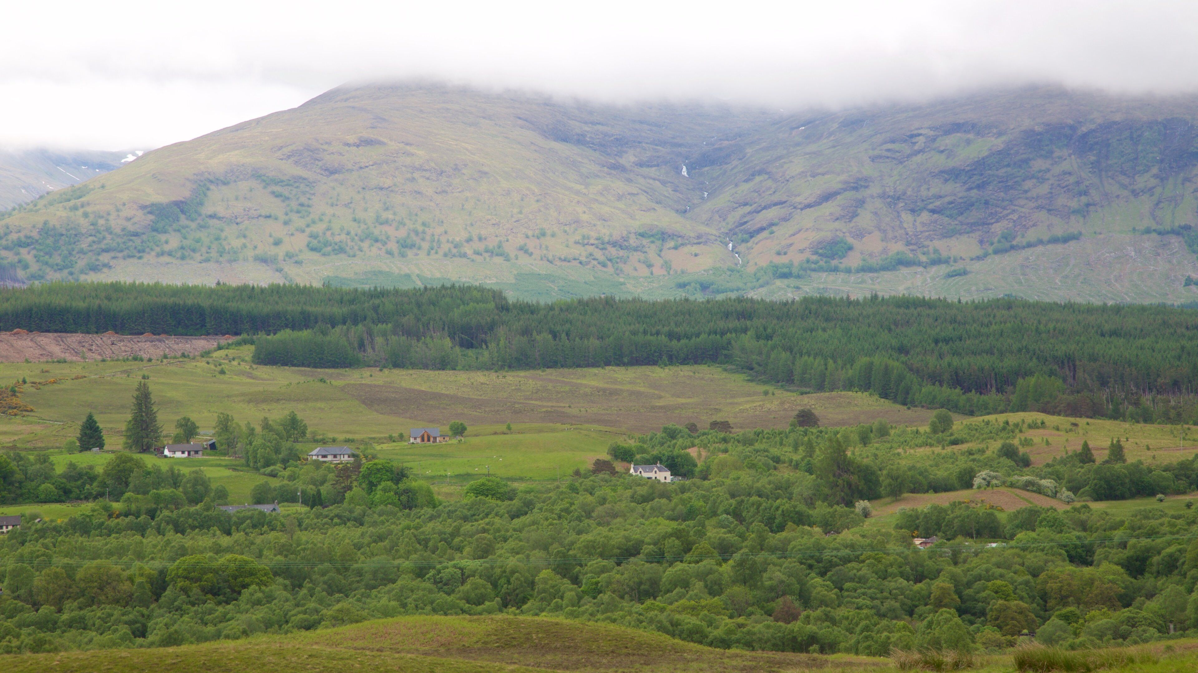 Ben Nevis featuring mountains, forest scenes and landscape views