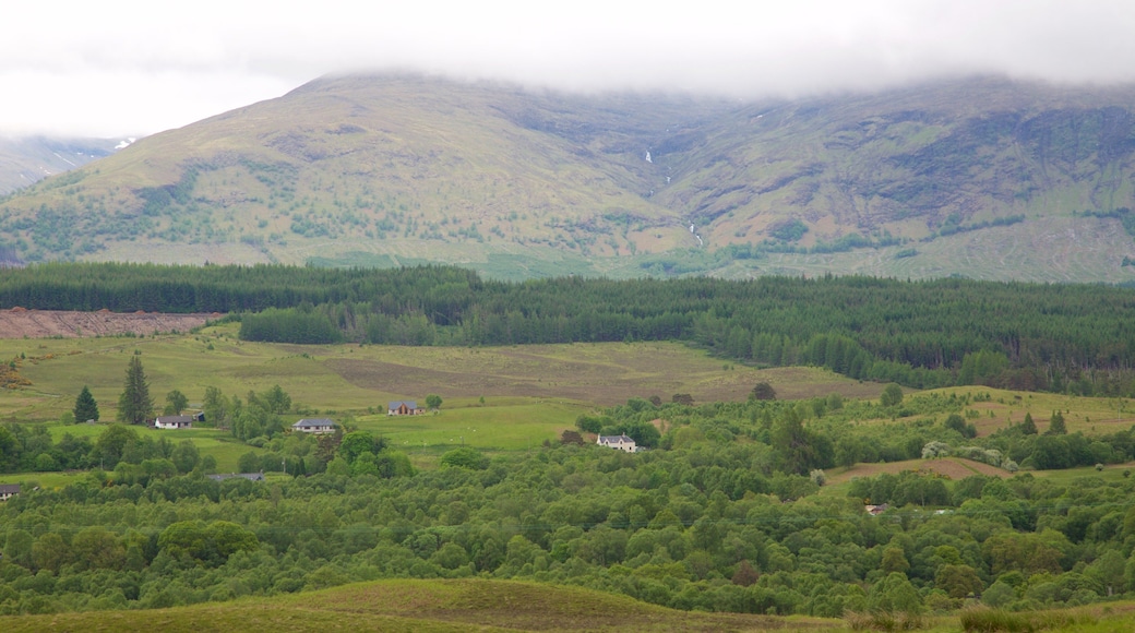 Ben Nevis bevat bergen, bos en landschappen