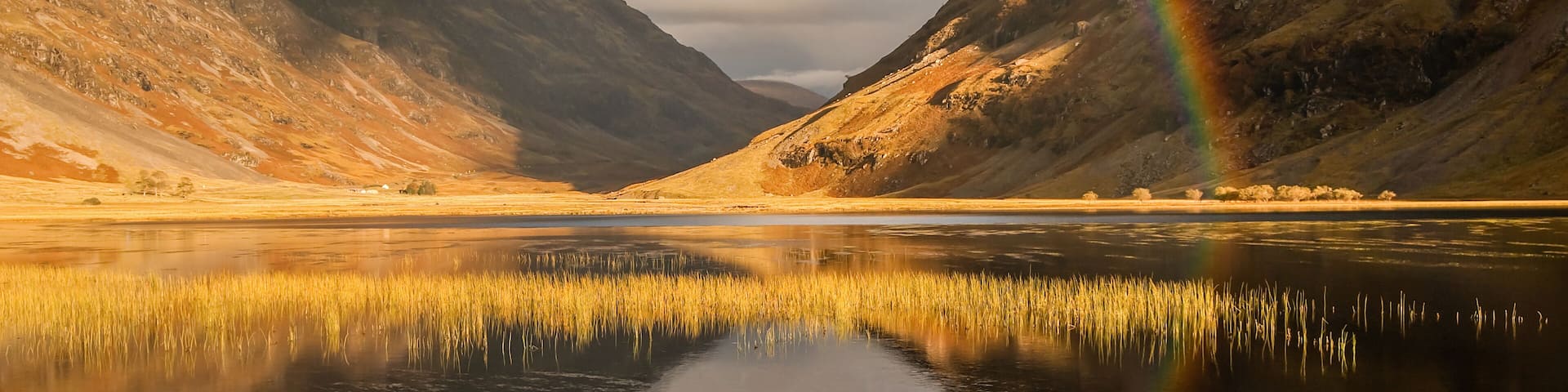 Glencoe Majesty