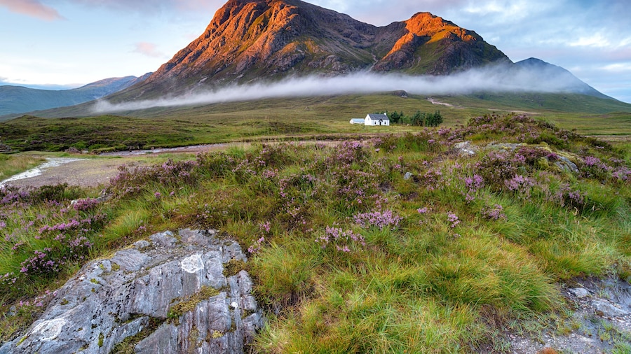 Buchaille Etive Mor (montaña)