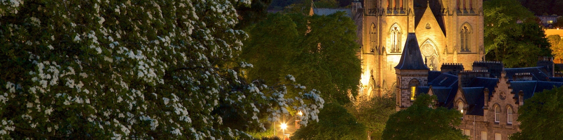 Inverness Cathedral showing heritage elements, night scenes and heritage architecture