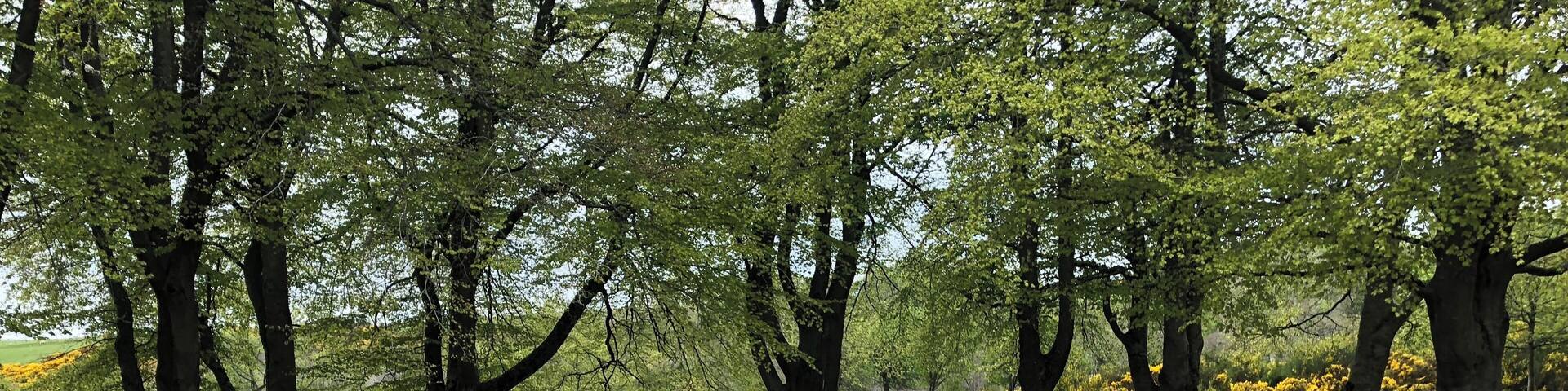 Beautiful spot in the middle of nowhere, but not far from Inverness.