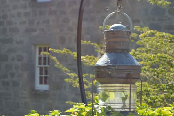 Cawdor Castle didn't exist during Macbeths life, and it is never explicitly mentioned in the play. The 5th Earl Cawdor is quoted as saying, "I wish the Bard had never written his damned play!"
#trovember