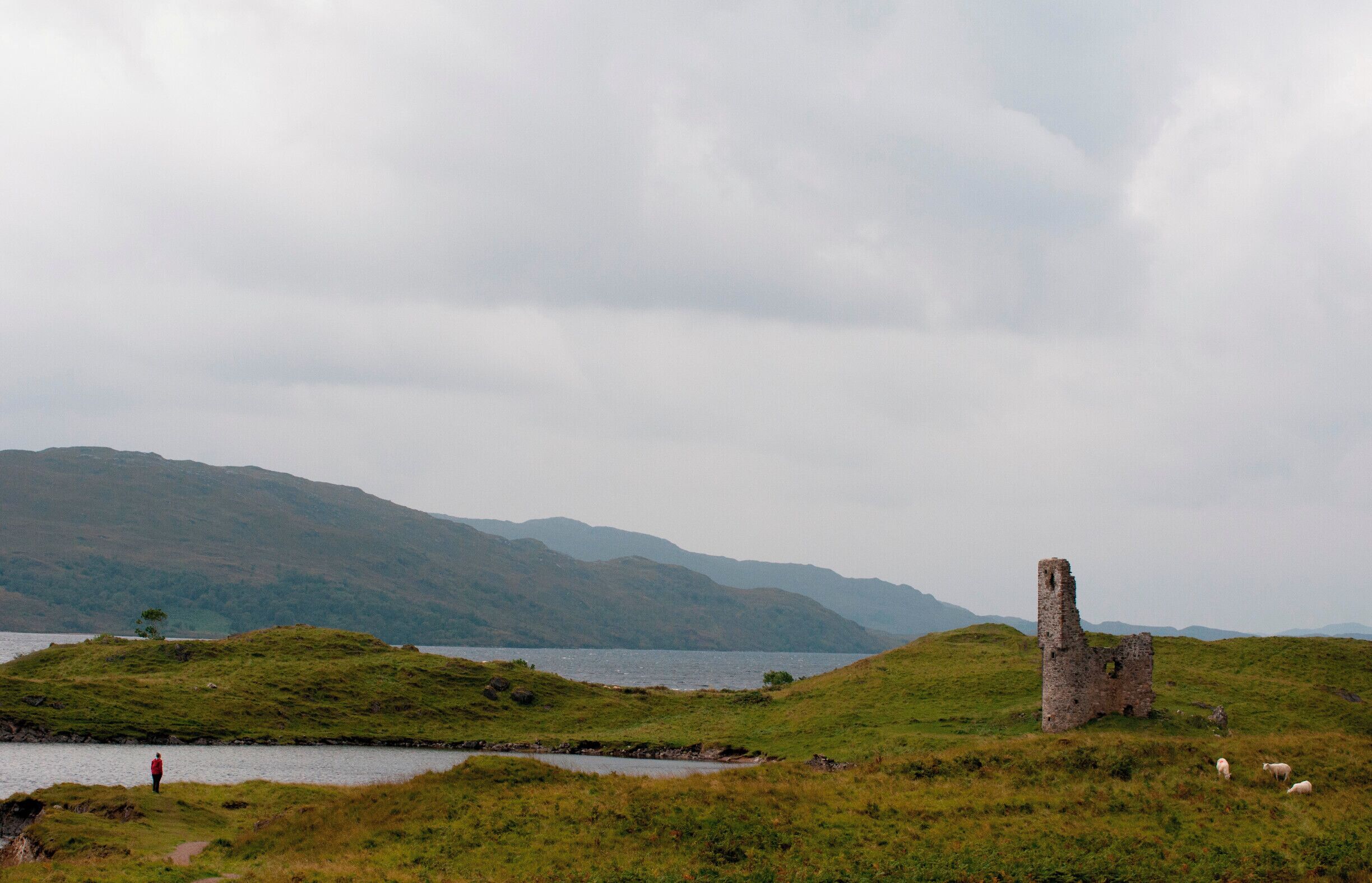 '<Would you have liked to live here?> I was asked.
<Of course!> I instantly replied.
What could be more welcoming on a cold early autumn afternoon than staring at greyish Loch Assynt and listening to the murmur of the wind from inside this castle’s walls?'
#waterlust