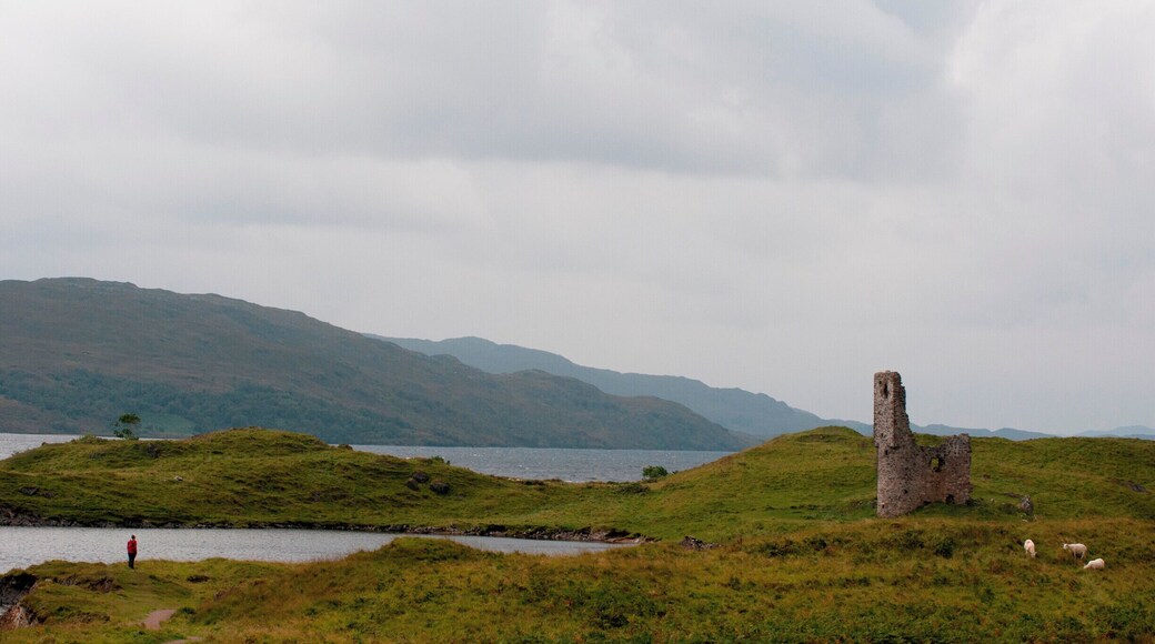 '<Would you have liked to live here?> I was asked.
<Of course!> I instantly replied.
What could be more welcoming on a cold early autumn afternoon than staring at greyish Loch Assynt and listening to the murmur of the wind from inside this castle’s walls?'
#waterlust