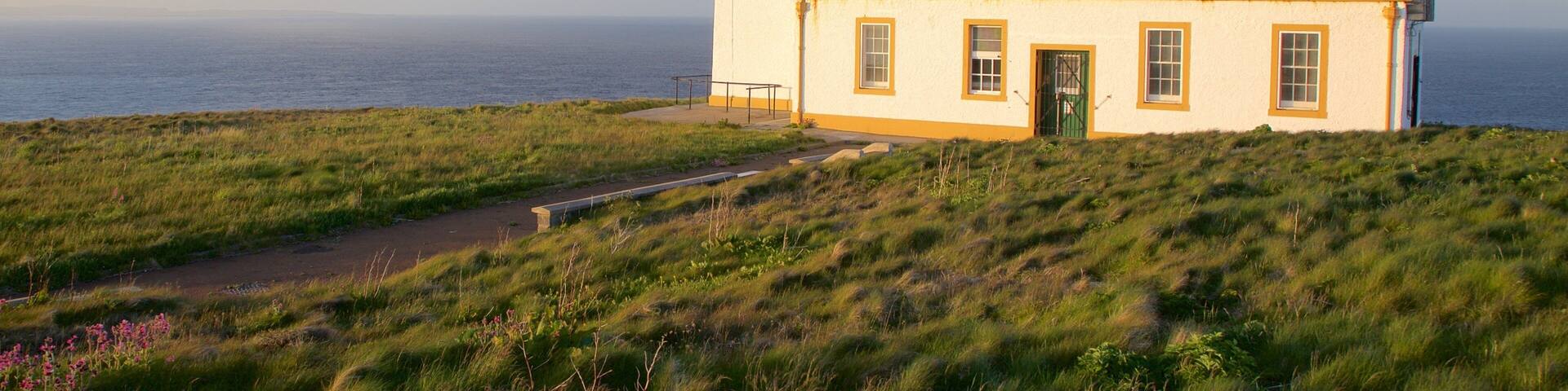 A lighthouse with a tower and a white building on a grassy hill overlooking the ocean.
