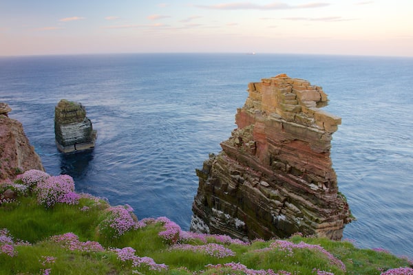 ダンカンスビー ヘッド フィーチャー 荒々しい海岸線