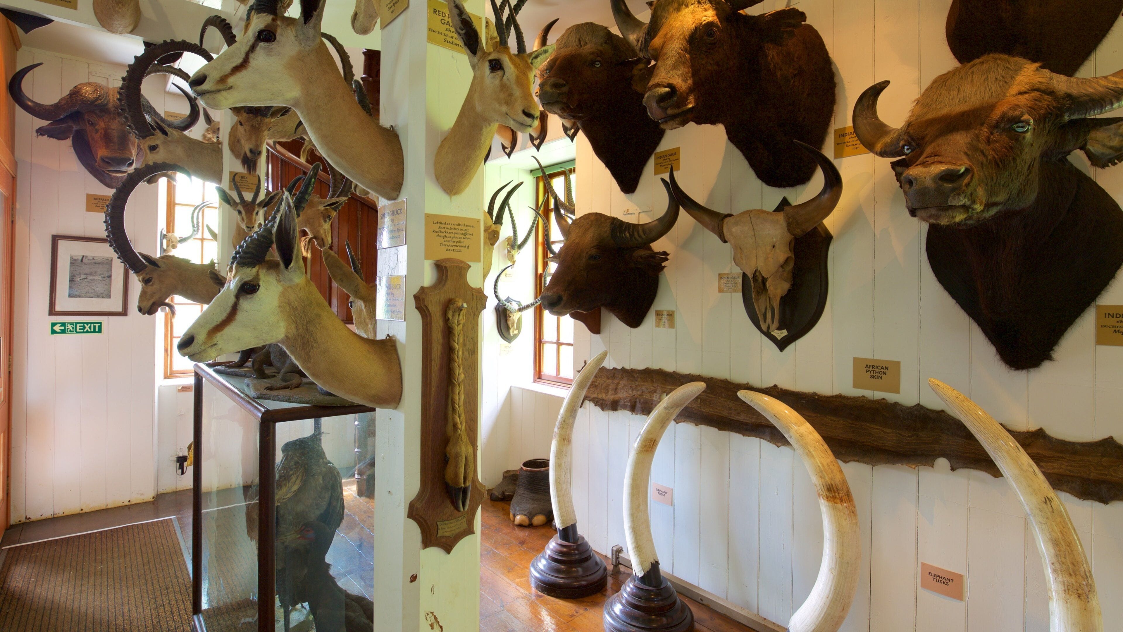 Dunrobin Castle fasiliteter samt innendørs