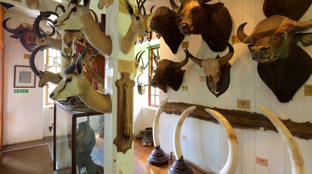 Dunrobin Castle fasiliteter samt innendørs