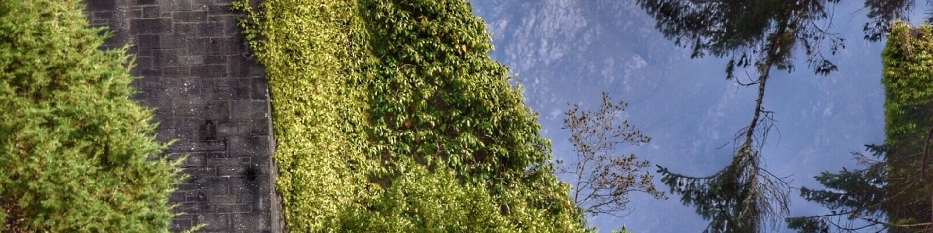 Everything about this location said "Scotland" to me. Castle ruins, moody sky, mountains, ocean, greenery. This whole section of the Isle Of Skye left me speechless.