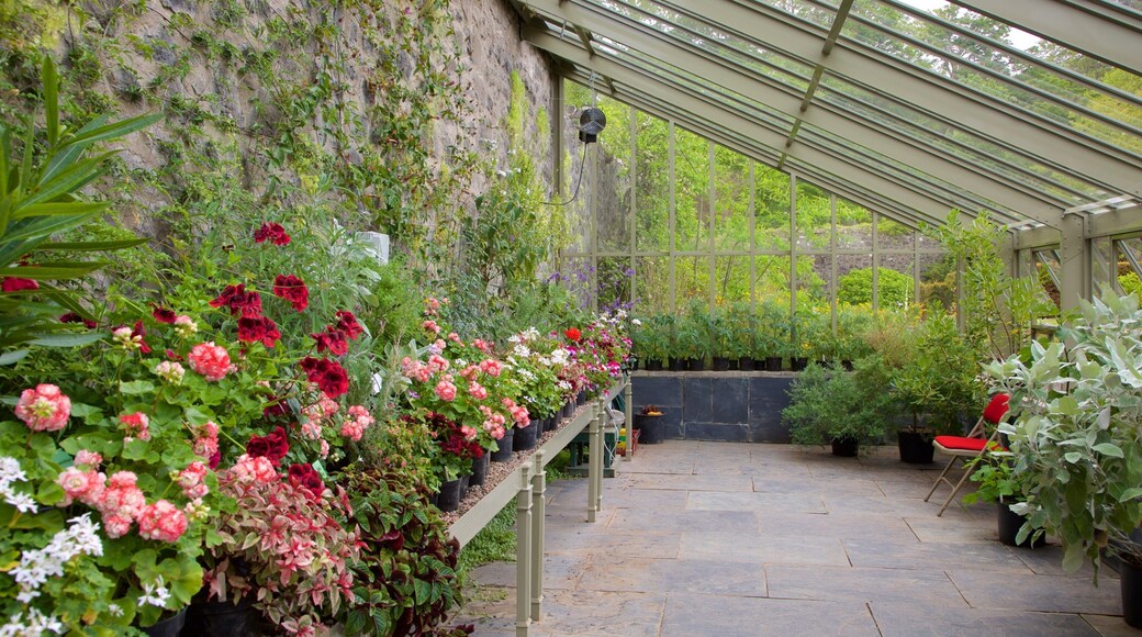 Dunvegan Castle featuring a garden