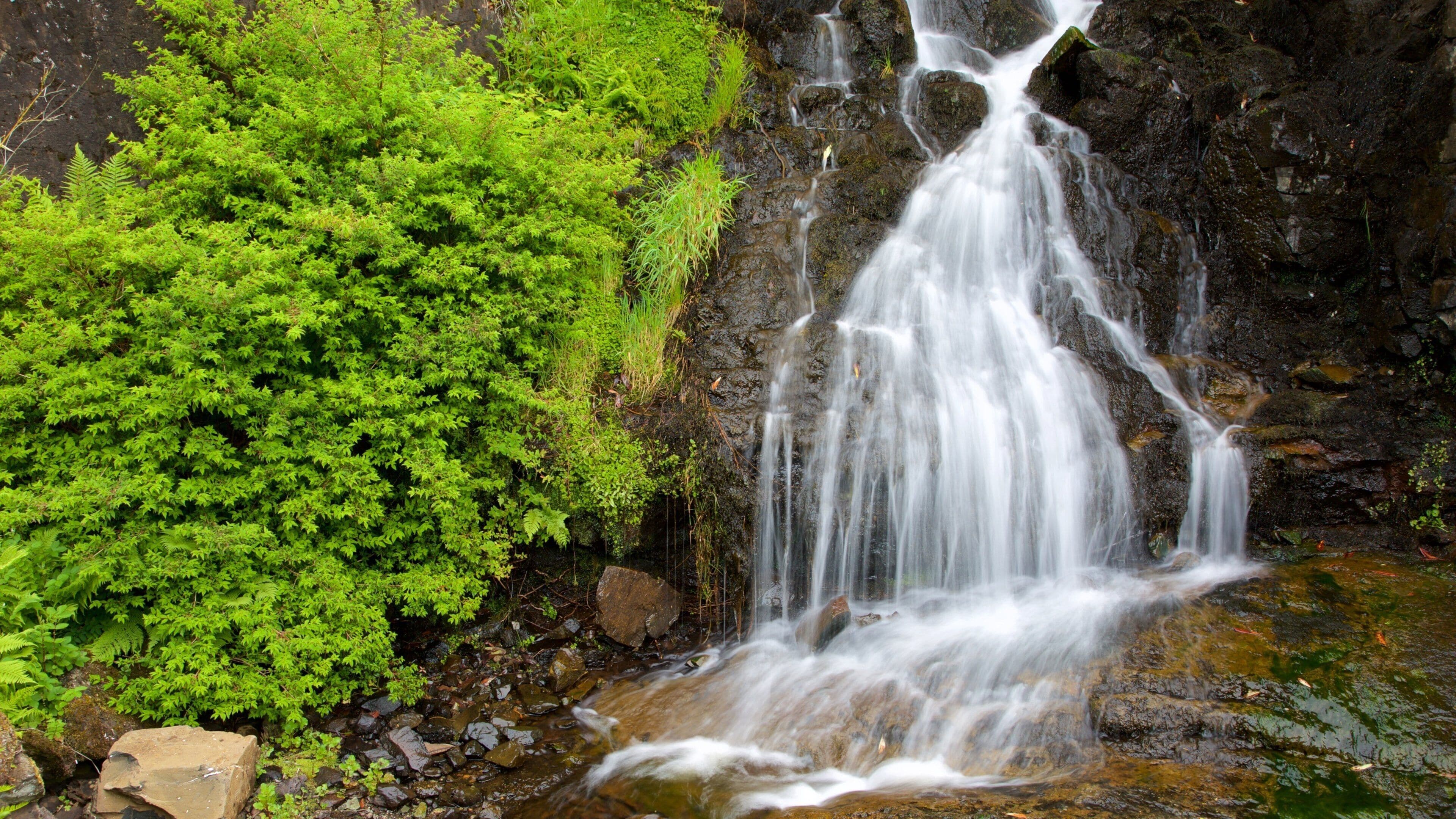 Dunvegan Castle featuring a waterfall