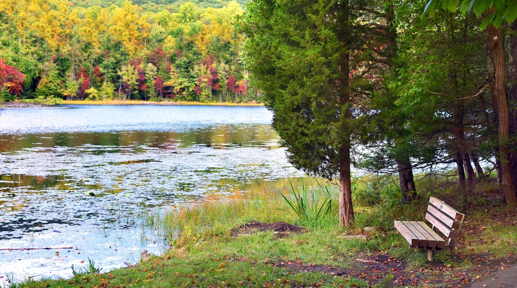 Bench Besides Bays Mountain Lake