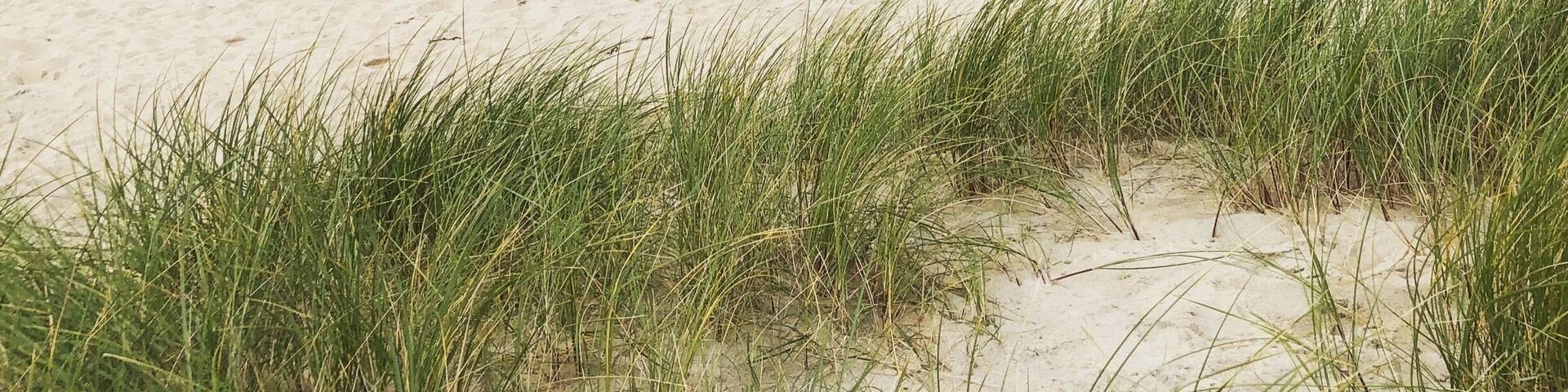 A beautiful beach on Harris. If you like to go for a walk on a beach it‘s just amazing doing it here..
