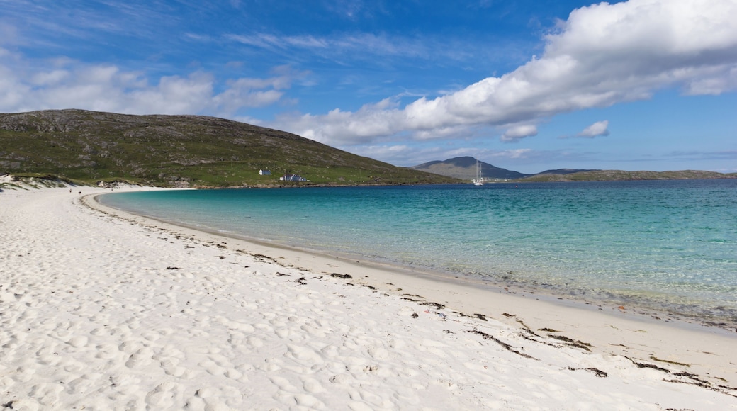 Vatersay 海灘