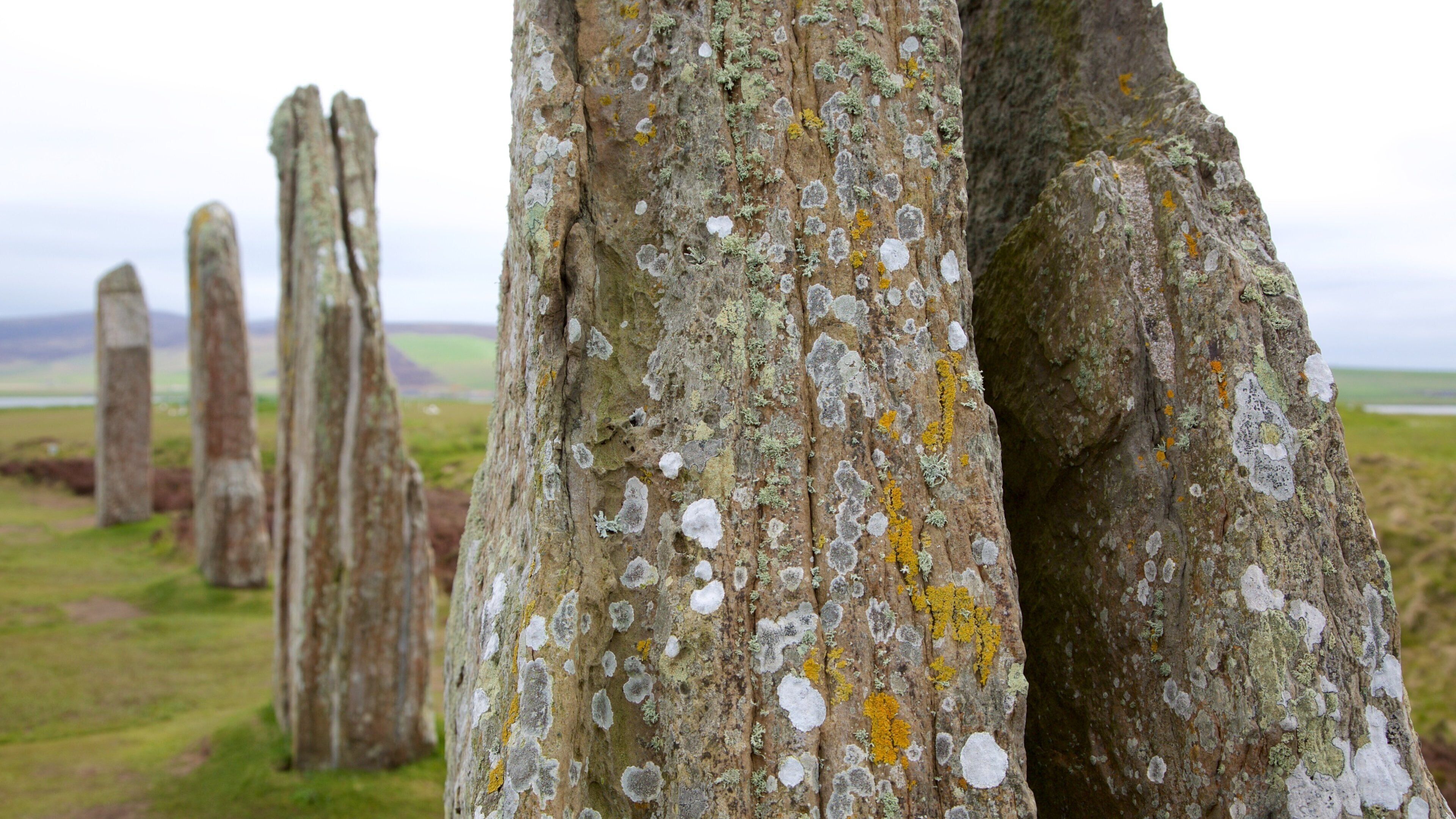 Ring of Brogdar which includes a monument and heritage elements