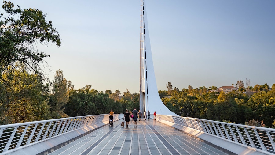 Sundial Bridge showing a sunset and a bridge