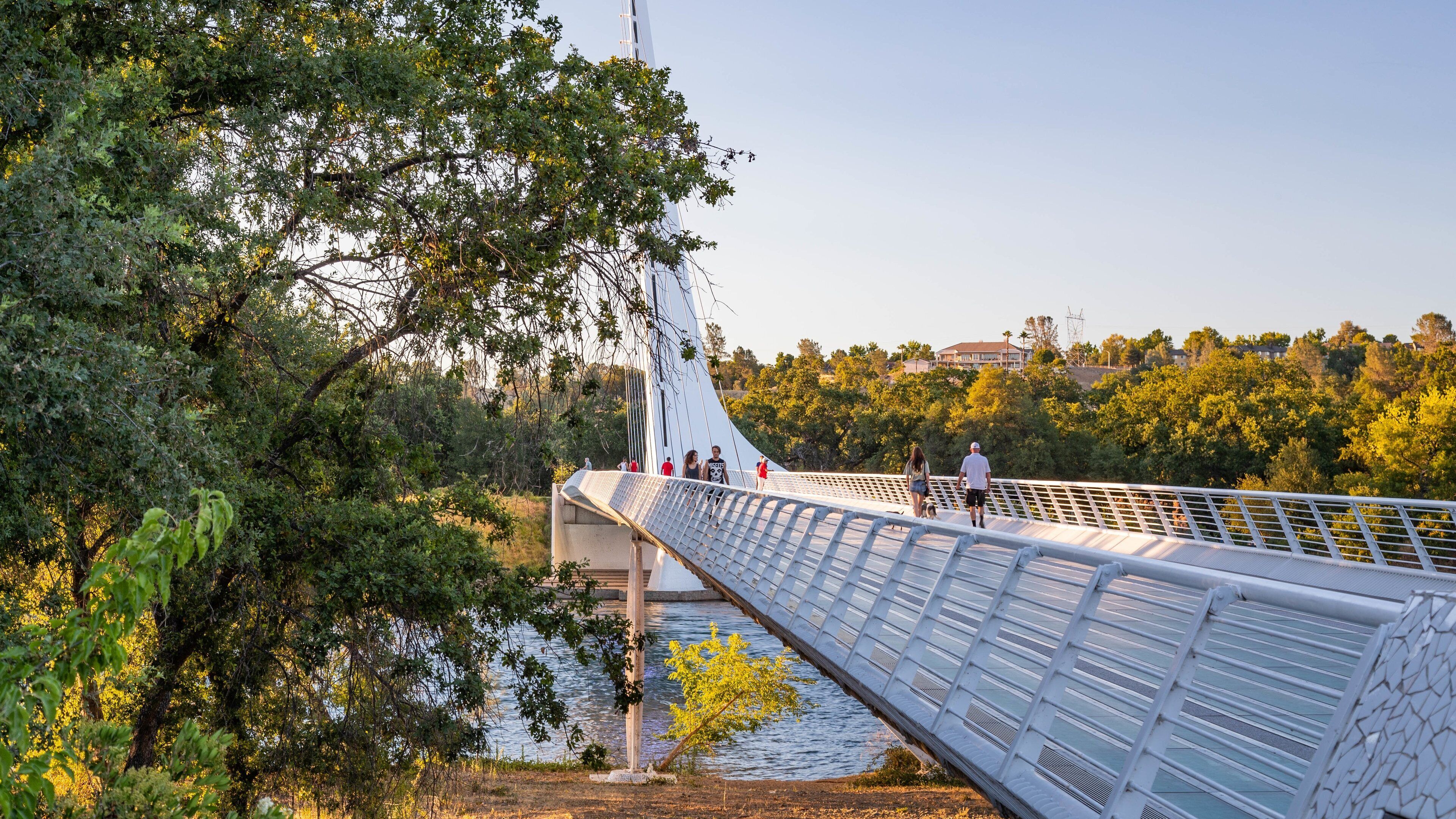 Sundial Bridge featuring a bridge, a river or creek and a sunset
